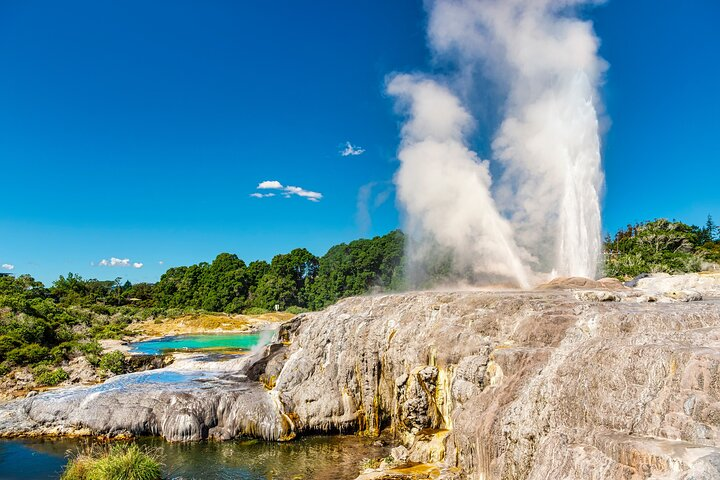 Rotorua Cultural Small Group Afternoon Tour - Photo 1 of 13